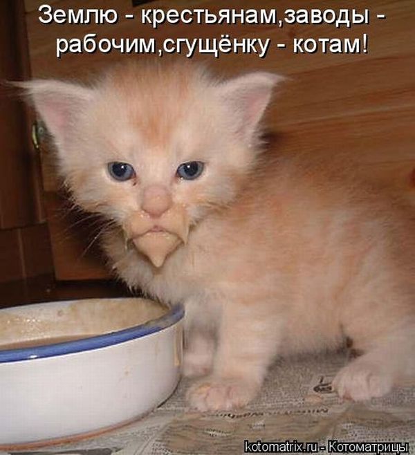VFL.RU -  