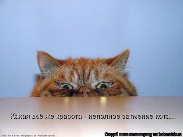 VFL.RU -  