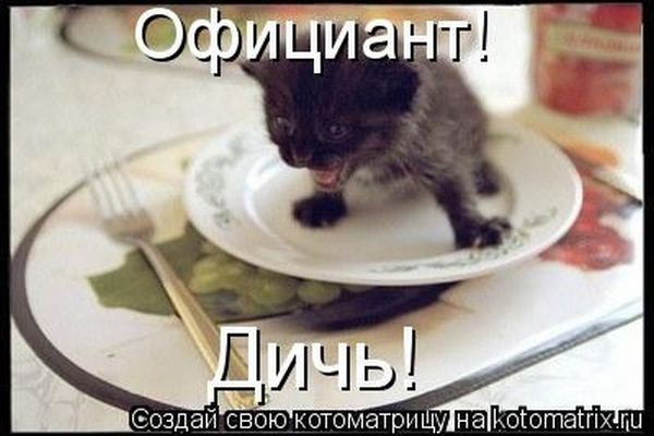 VFL.RU -  