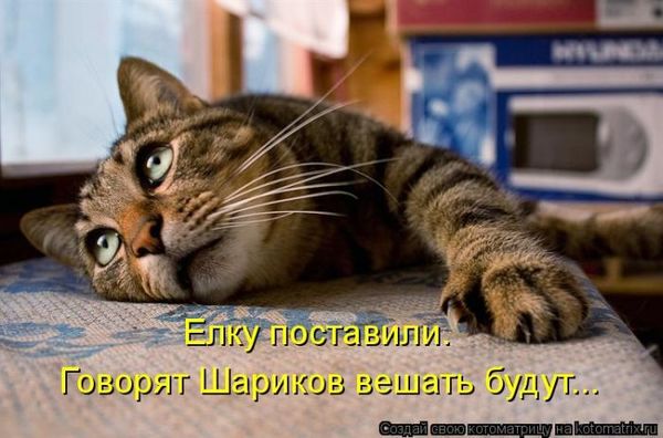 VFL.RU -  