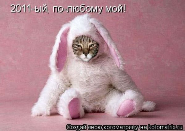 VFL.RU -  