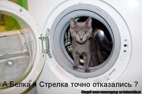 VFL.RU -  