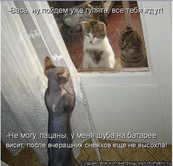 VFL.RU -  