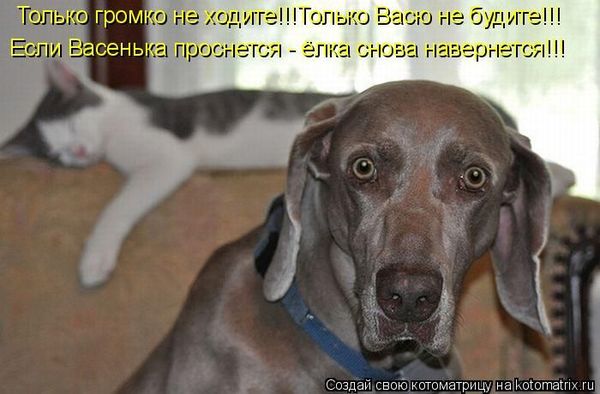 VFL.RU -  