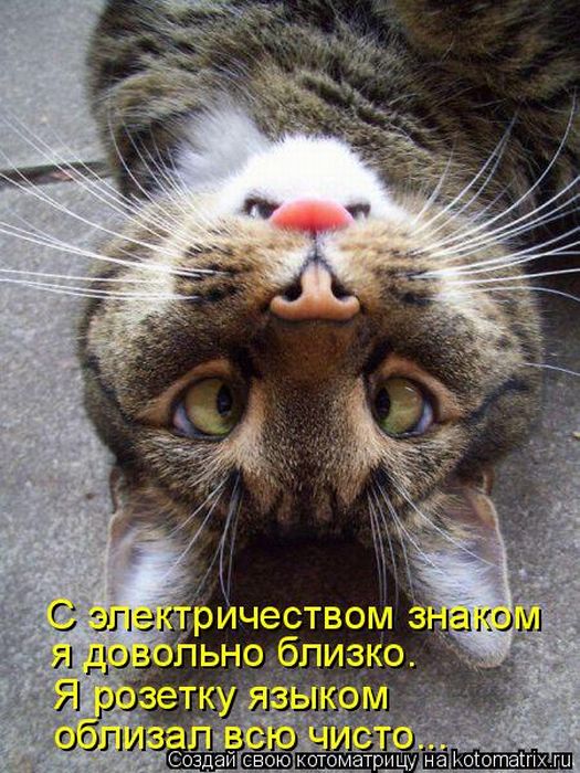 VFL.RU -  