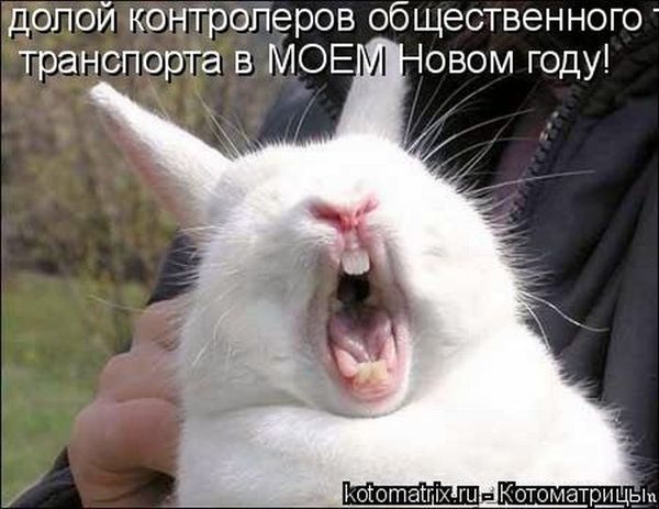 VFL.RU -  