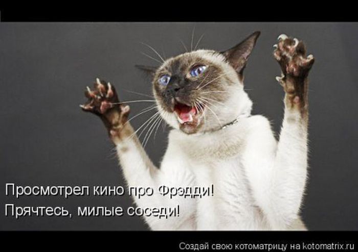 VFL.RU -  
