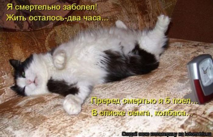 VFL.RU -  