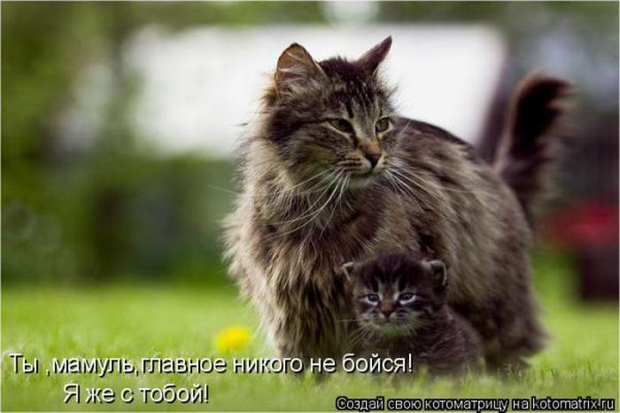 VFL.RU -  