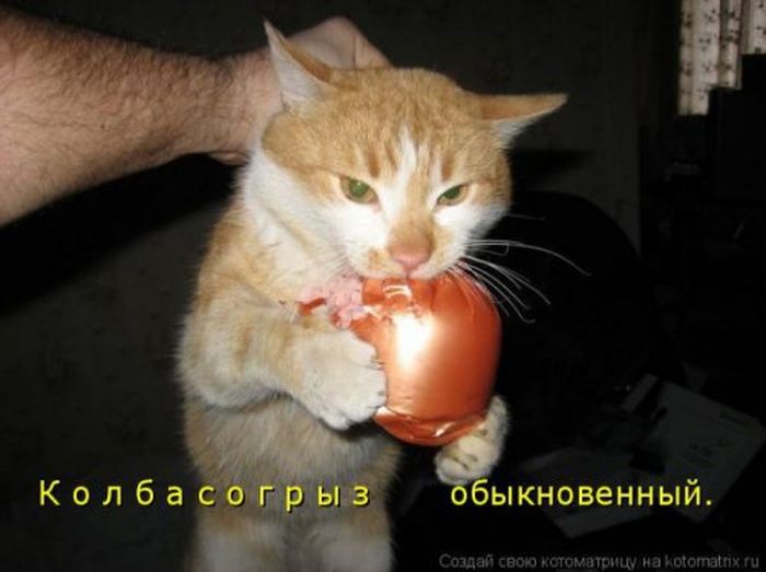 VFL.RU -  