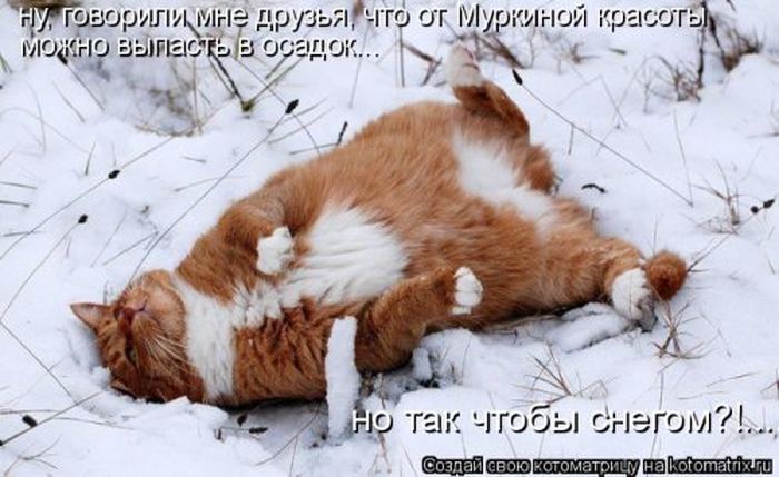 VFL.RU -  