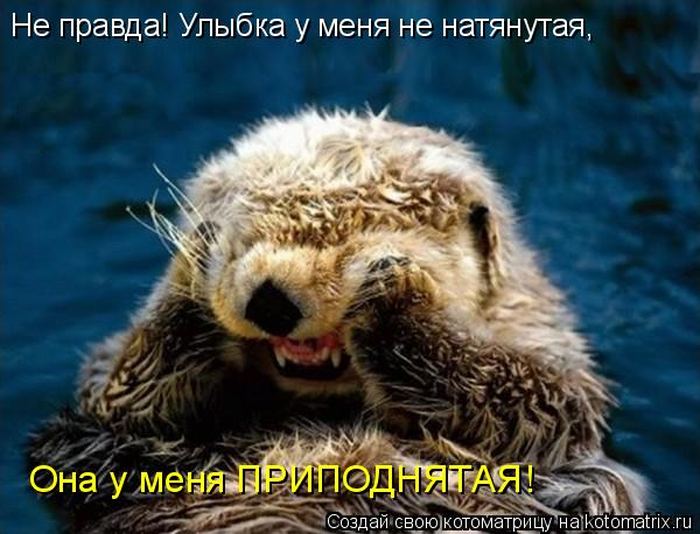 VFL.RU -  
