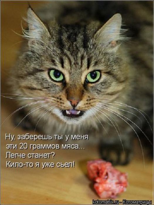 VFL.RU -  
