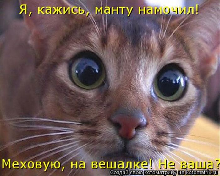 VFL.RU -  