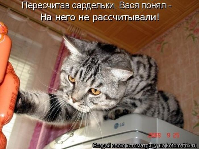 VFL.RU -  
