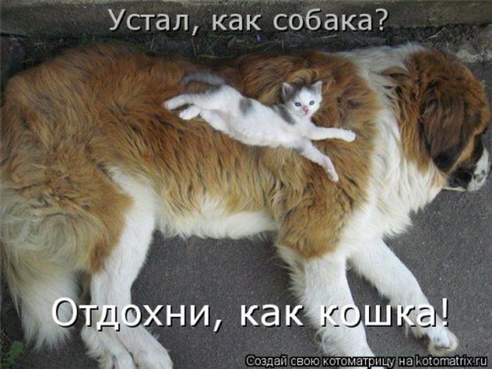VFL.RU -  