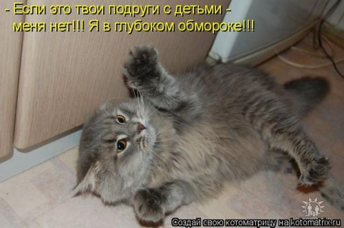 VFL.RU -  