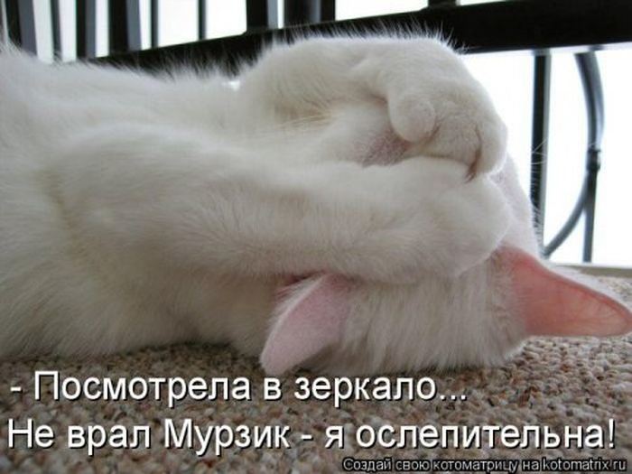 VFL.RU -  