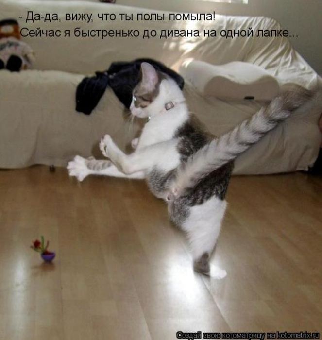 VFL.RU -  
