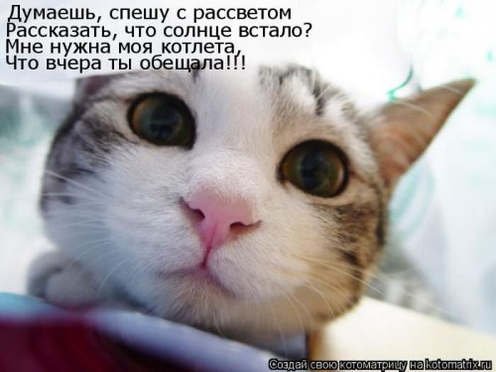 VFL.RU -  