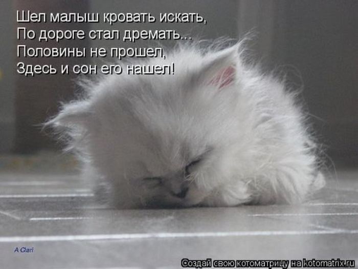 VFL.RU -  