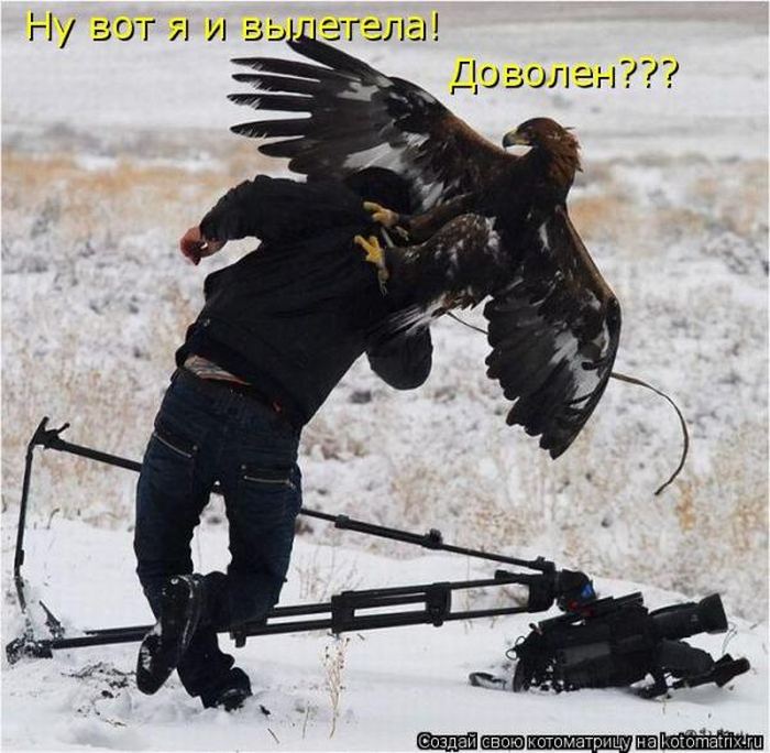 VFL.RU -  