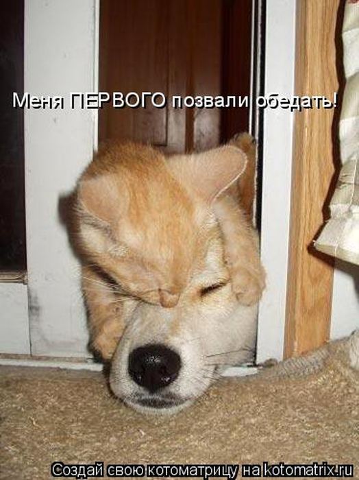 VFL.RU -  