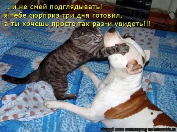 VFL.RU -  