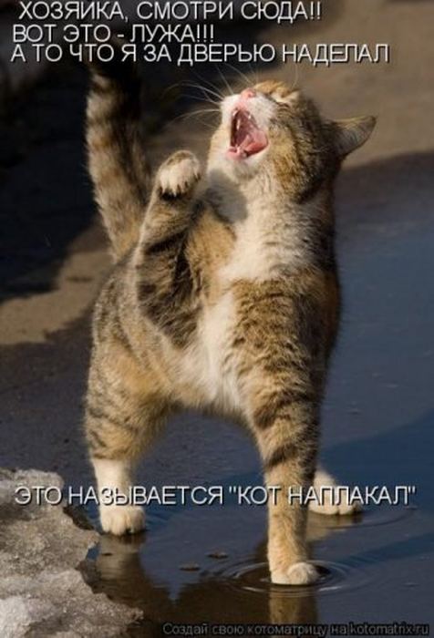 VFL.RU -  