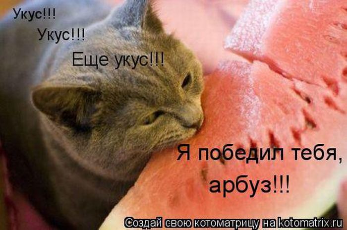 VFL.RU -  