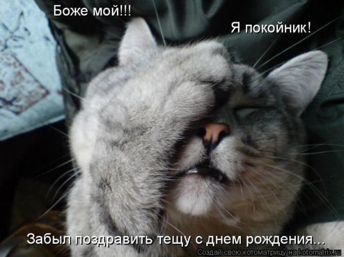 VFL.RU -  