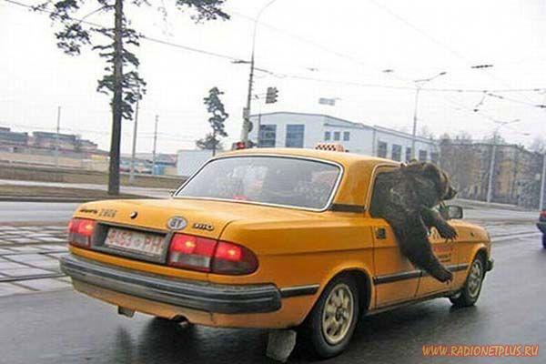 VFL.RU -  