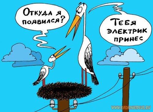 VFL.RU -  