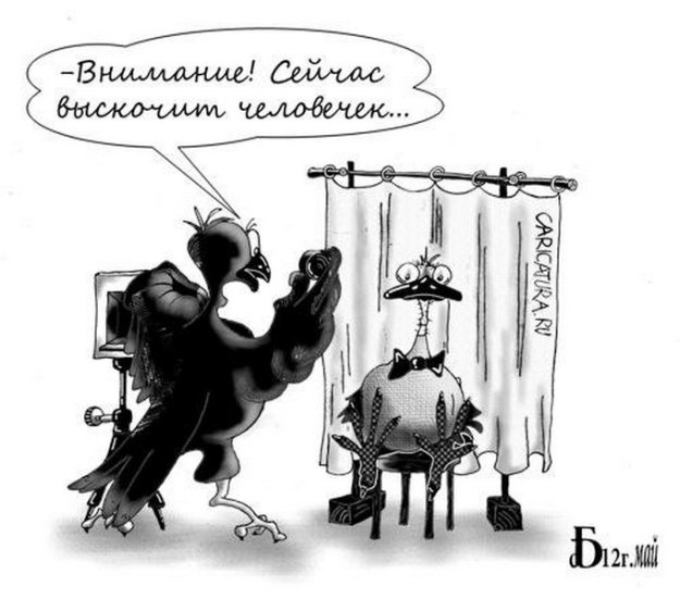 VFL.RU -  