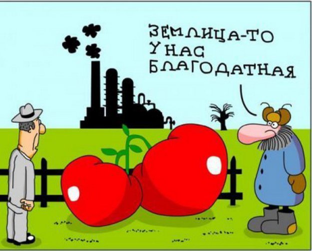 VFL.RU -  