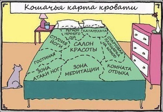 VFL.RU -  