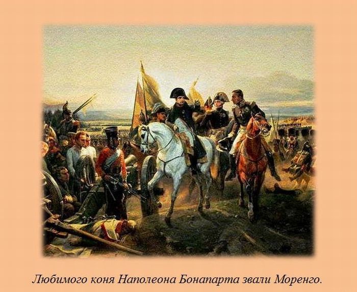 VFL.RU -  