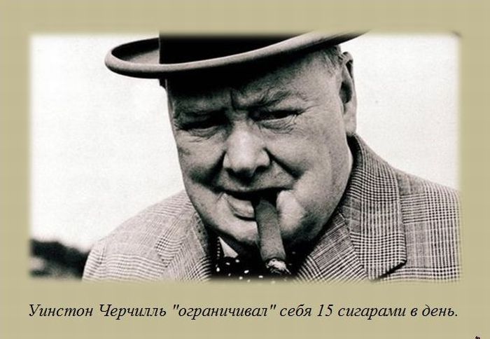 VFL.RU -  