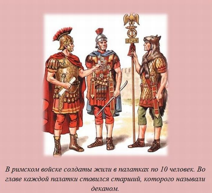 VFL.RU -  