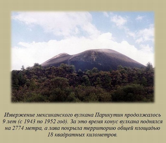 VFL.RU -  