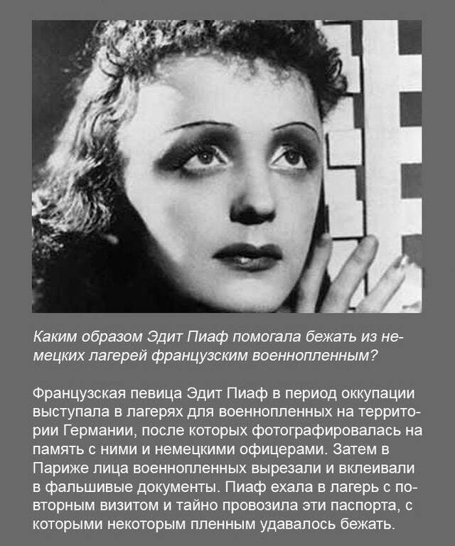 fakt33