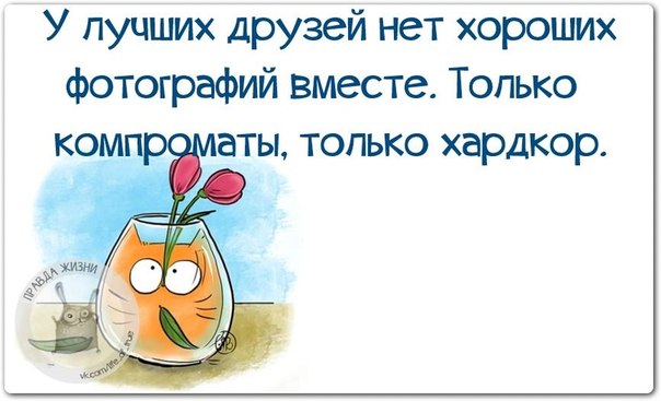 VFL.RU -  