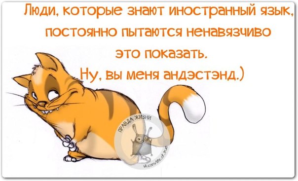VFL.RU -  