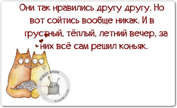 VFL.RU -  