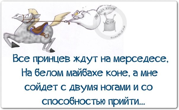 VFL.RU -  