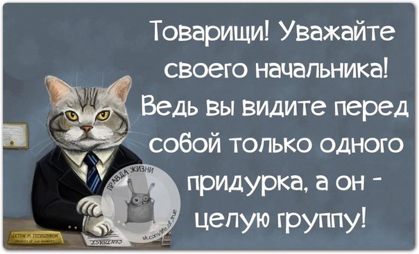 VFL.RU -  