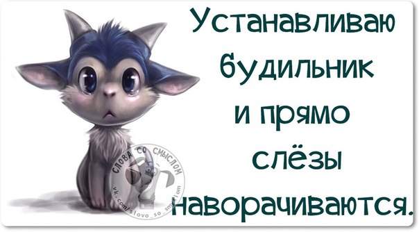 VFL.RU -  