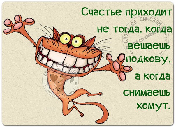VFL.RU -  