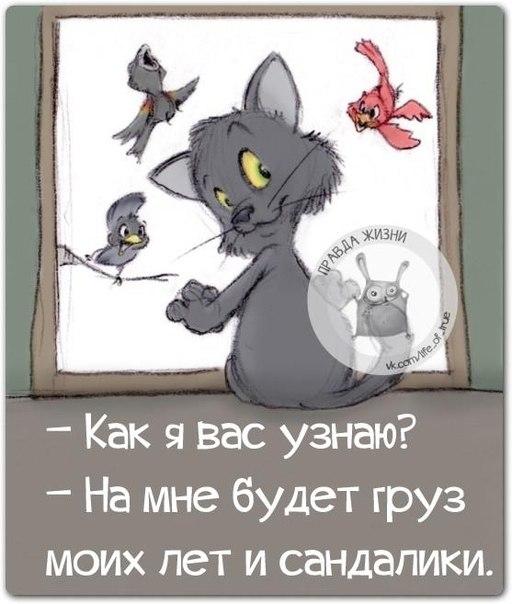 VFL.RU -  