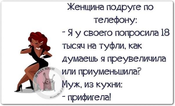 VFL.RU -  